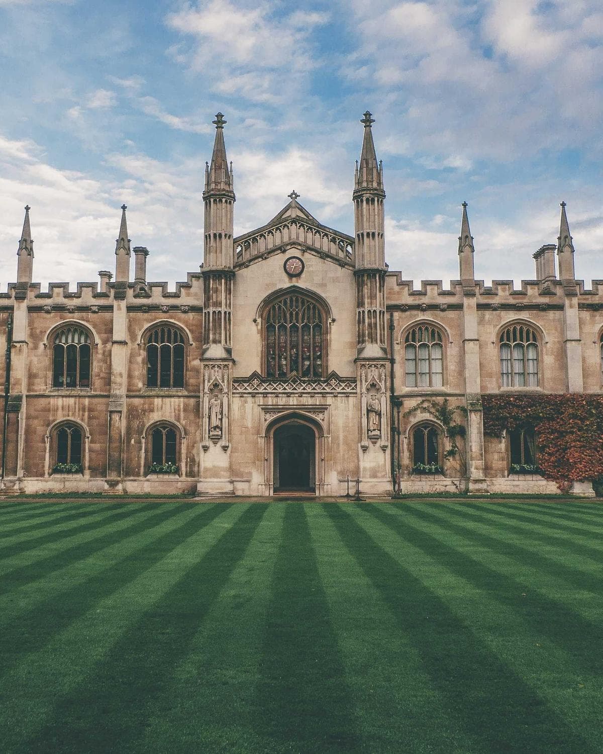Estudo em ocres, luz de tarde