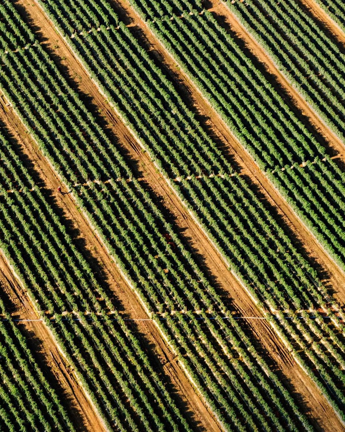 Estudo monocromático em pedra